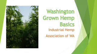 Exploring the World of Hemp: History, Facts, and Legislation