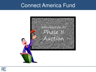 Overview of Connect America Fund Phase II Auction