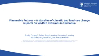 Impacts of Climate Change on Wildfire Extremes in Indonesia