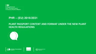 Plant Passports in EU: Regulations, Requirements, and Differences