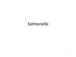 Insights into Salmonella Bacteria and Outbreaks