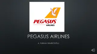 Pegasus Airlines Overview