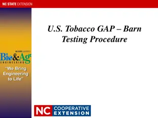 Ensuring Flue-Cured Tobacco Barn Safety: Testing Procedures and TSNA Formation