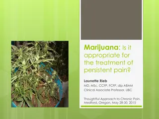 Marijuana for Persistent Pain: A Thoughtful Approach