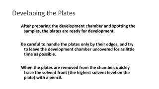 Understanding Thin Layer Chromatography (TLC) Process