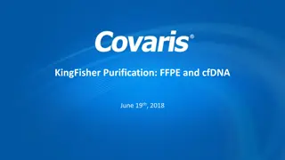 Automated Purification System: KingFisher Flex & Duo