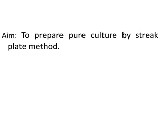 Pure Culture Preparation by Streak Plate Method