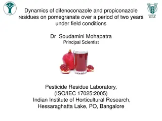 Dynamics of Difenoconazole and Propiconazole Residues on Pomegranate Over Two Years