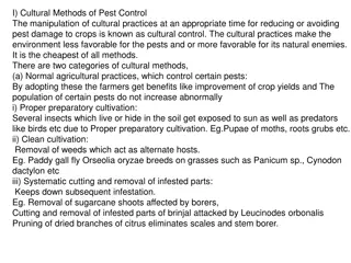 Cultural Methods of Pest Control in Agriculture