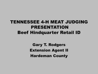 Tennessee 4-H Meat Judging Presentation: Beef Hindquarter Retail Cuts Identification