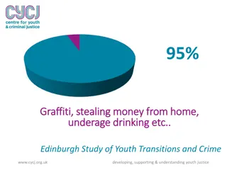 Youth Justice: Understanding Risks and Vulnerabilities