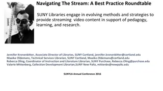 Evolving Strategies for Streaming Video in SUNY Libraries