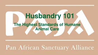 Husbandry 101 - Ensuring the Welfare of Animals in Care