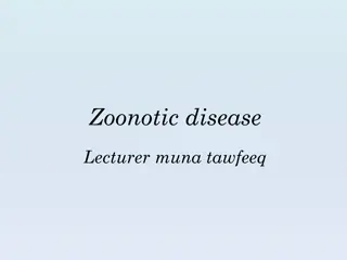 Understanding Zoonotic Hepatitis A Virus Infections