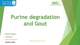 Purine Degradation and Gout