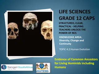 Understanding Human Evolution: Evidence of Common Ancestors