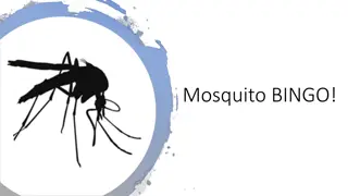 Fun and Educational Mosquito BINGO Game for Learning About Mosquito Prevention