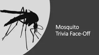 Mosquito Trivia: Curious Facts About These Pesky Insects