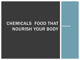 Understanding Essential Nutrients for a Healthier Body