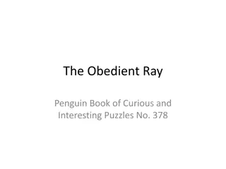 Exploring the Obedient Ray Puzzle Journey