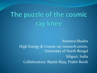 Cosmic Ray Research: The Mysterious Knee in the Energy Spectrum