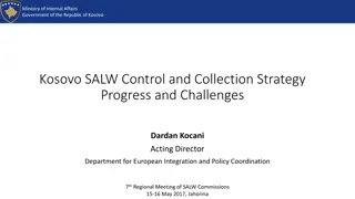 SALW Control and Collection Strategy in Kosovo: Progress and Challenges