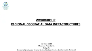 Regional Geospatial Data Infrastructures Coordination and Promotion Efforts