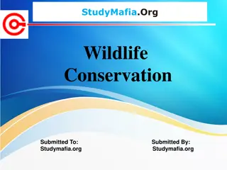 Wildlife Conservation: Protecting Species and Habitats for a Sustainable Future