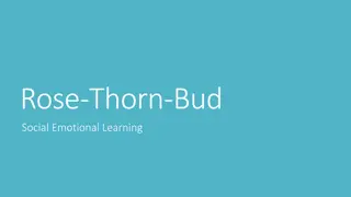 Reflections on Rose, Thorn, Bud: Social Emotional Learning Moments