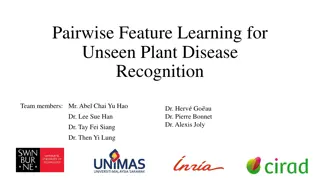 Pairwise Feature Learning for Unseen Plant Disease Recognition