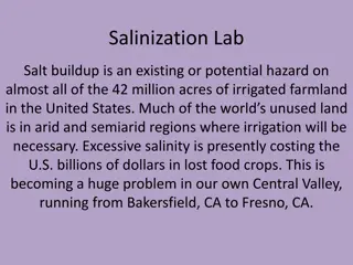 The Impact of Salinization on Agriculture and Water Resources