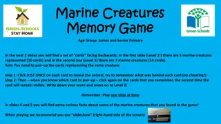 Dive into the Marine Creatures Memory Game and Fun Facts