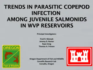 Trends in Parasitic Copepod Infection Among Juvenile Salmonids in WVP Reservoirs Study