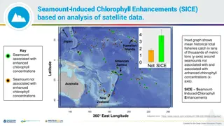 Insights into Seamount-Induced Chlorophyll Enhancements and Currents