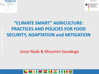 Climate Smart Agriculture: Practices and Policies for Food Security