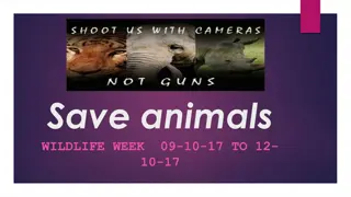 Save Animals - Wildlife Week Awareness Campaign