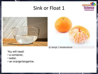 Fun Science Experiments: Sink or Float Activities