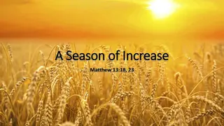 A Season of Increase: Cultivating Abundance Through Faith