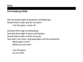 Tragic Tale of War and Grass in Carl Sandburg's Poem