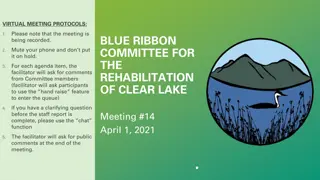 Virtual Meeting Protocols for Blue Ribbon Committee - Clear Lake Rehabilitation