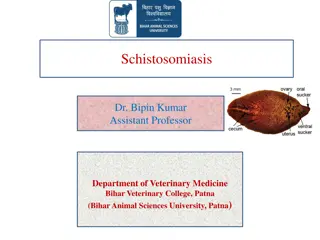 Overview of Schistosomiasis and Fascioliasis in Veterinary Medicine