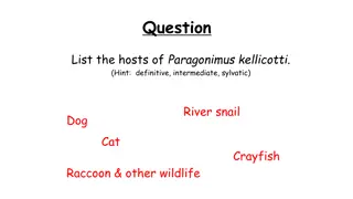 Trematodes and Cestodes: Hosts, Life Cycles, and Diagnostics