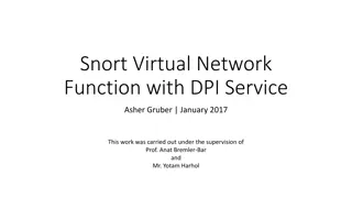 Enhancing Network Security Using Snort Virtual Network Function with DPI Service