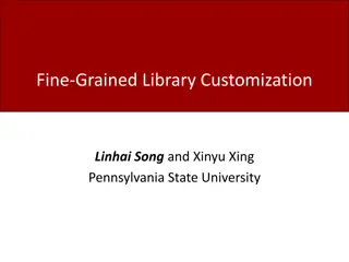 Effective Debloating Techniques for Library Customization