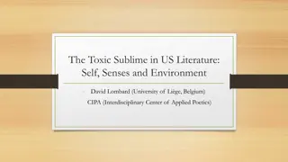 Exploring the Toxic Sublime in US Literature