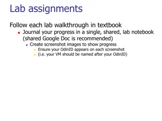 Cybersecurity Lab Assignments and Walkthroughs