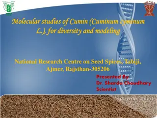 Molecular Studies of Cumin for Diversity and Modeling