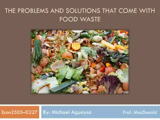 The Impact of Food Waste: Problems and Solutions