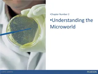 The Microworld: Factors Affecting Foodborne Pathogens