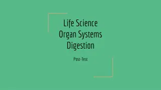 Digestive System: Post-Test Questions and Answers